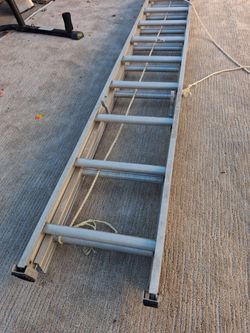 ladder