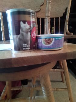 Cat and dog food