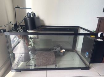 Turtle Tank / Reptile Habitat – Complete Setup