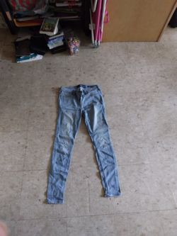 Hollister Jean's 