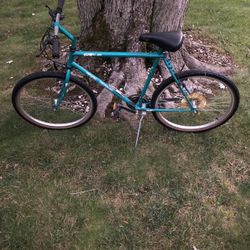 26” Gt Mountain Bike (xl Frame)
