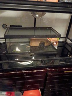 Zoo Med 6 Gallon Reptile Starter Habitat Tank