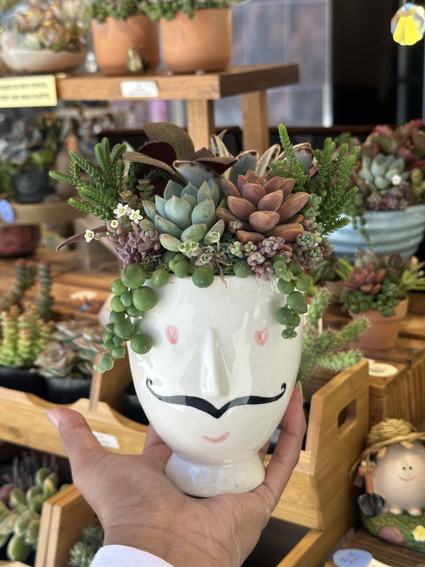 Oooooo La La Succulent Arrangement