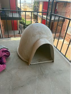 Igloo para perro