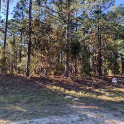 Lot For Sale In Rolling Hills Ocala