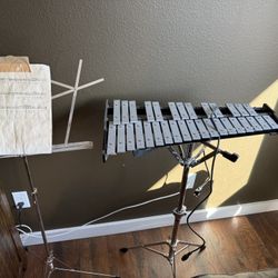 Xylophone Set