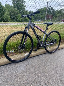QUALITY : NISHIKI : HYBRID : MEDIUM