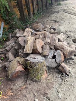 Tree logs for firewood