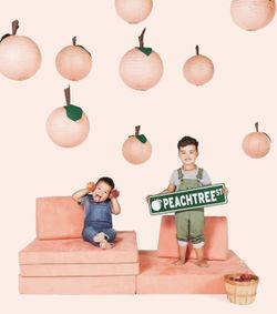 Nugget Comfort Peachtree cover only for Sale in Glendale CA
