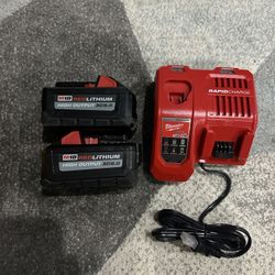 TWO Milwaukee 6.0 High Output Batteries With Rapid Charger