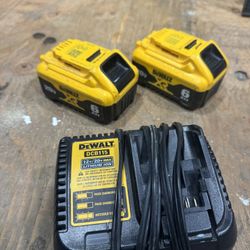 Dewalt 6 Ah 20v , Charger
