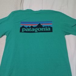 Men's Patagonia T-shirt 