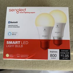 LED Smart Bulbs  Pack Of 2
