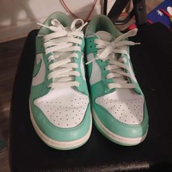 Nike Dunk Size 9.5