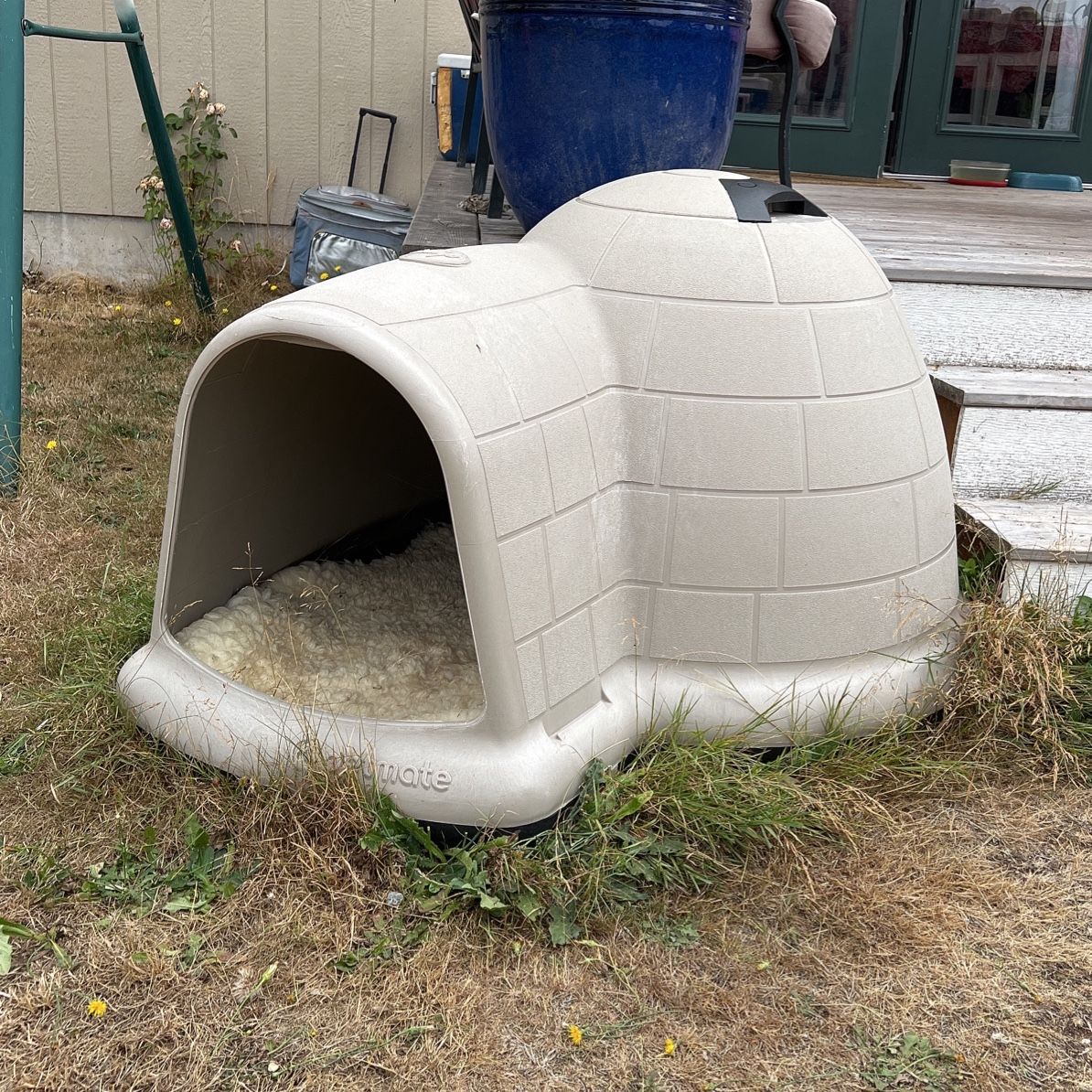 Large igloo dog house 2025