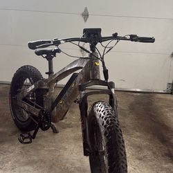 Quiet Kat Fat Tire E-bike 