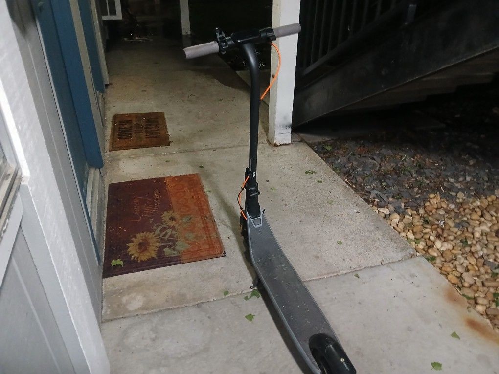Electric Scooter