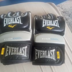 Everlast Everstrike Training Gloves