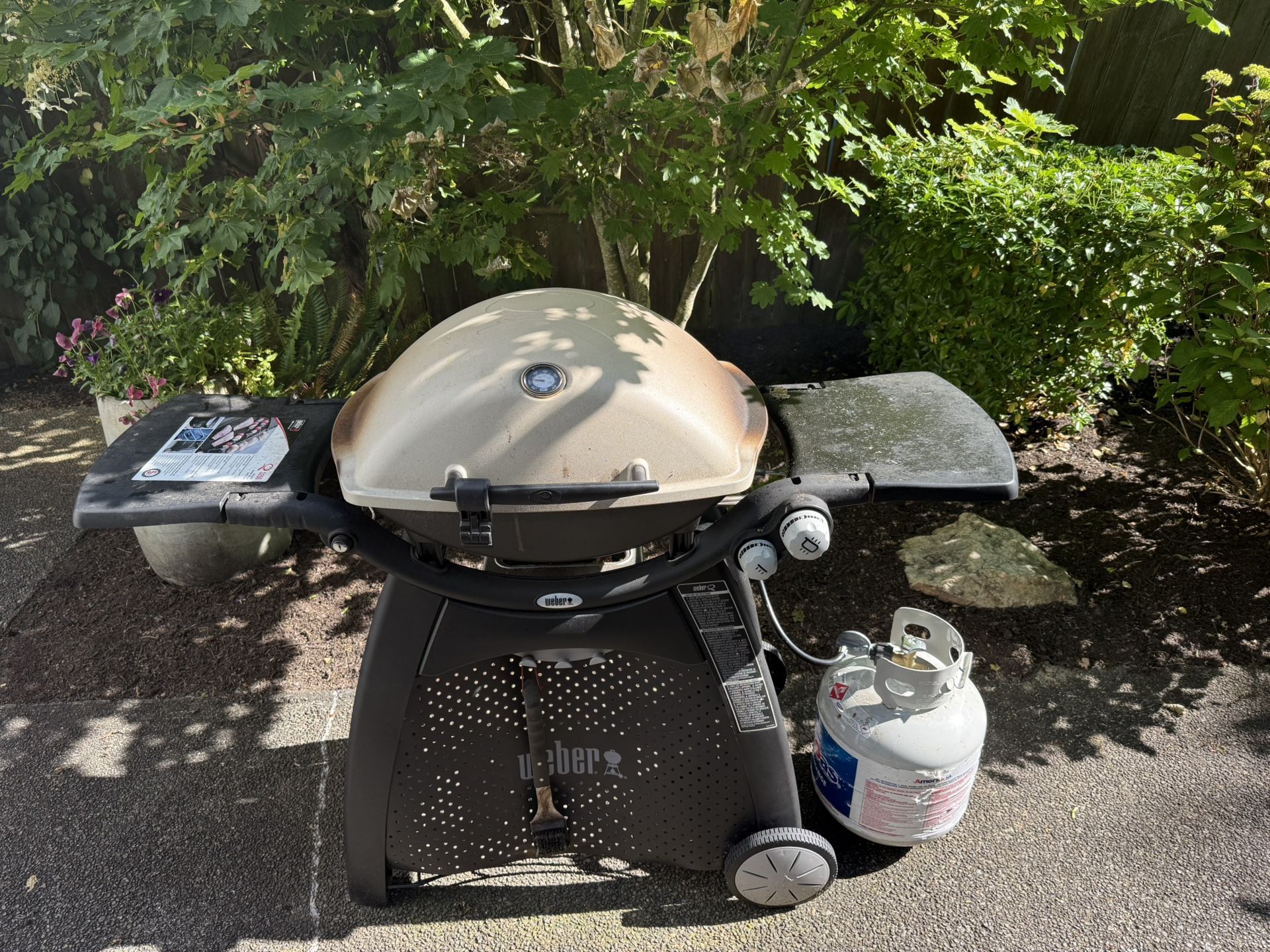 Weber Q3200 Propane Gas Grill BBQ