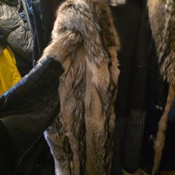 Coyote Coat With Leather Sleeves