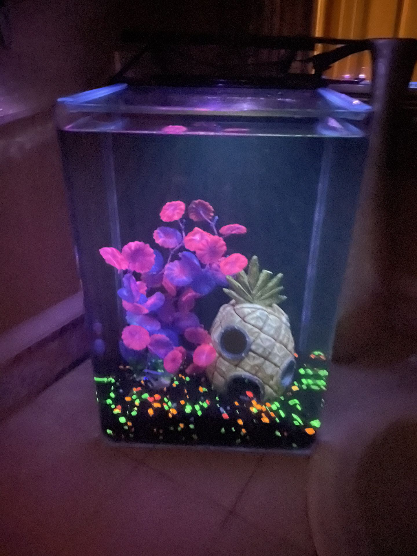 Glow Fish Tank 