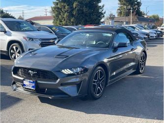 2019 Ford Mustang