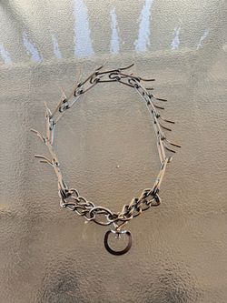 Metal Prong Training Dog Collar