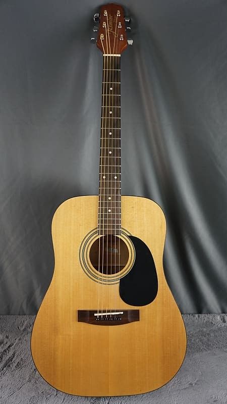 Acoustic Guitar