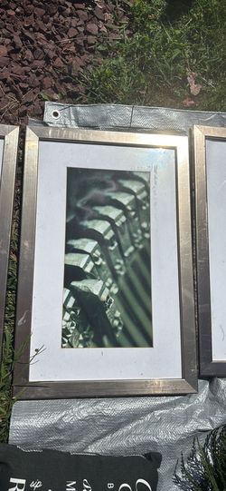 Set Of Various Prints