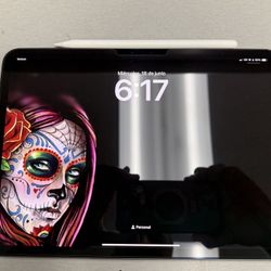 iPad Pro 11" M4 LTE 256 GB