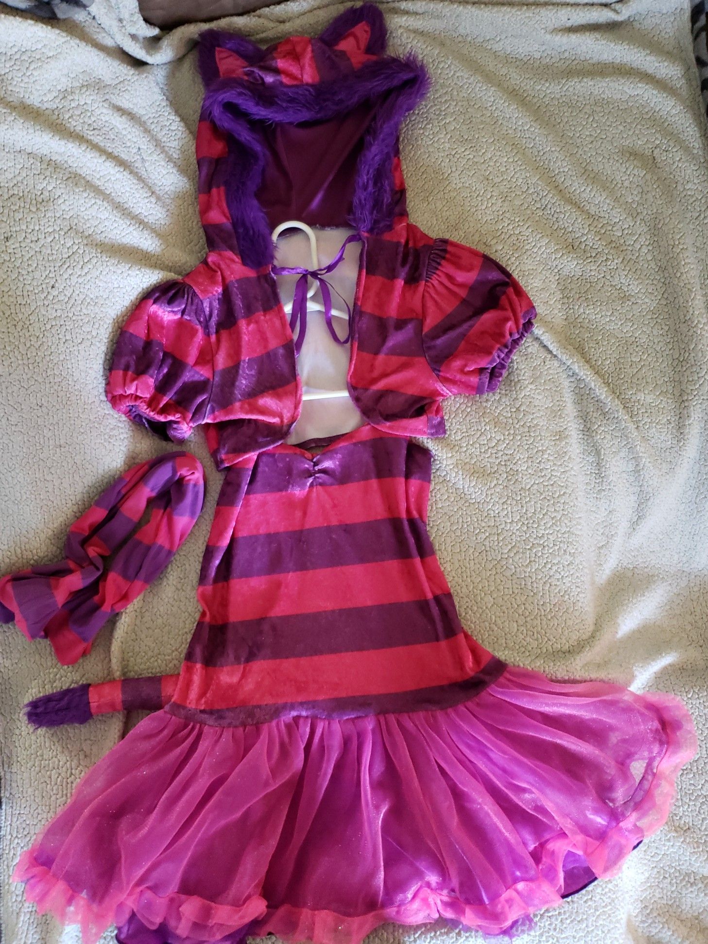 Halloween Alice & the Wonderland Cheshire Cat Girls Costume Size XL 14-16