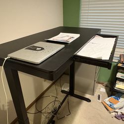 Standing Desk 