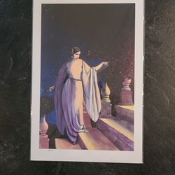 Artwork, Star Wars Princess Leia: Enchantment 