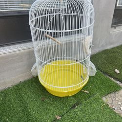Bird Cage 