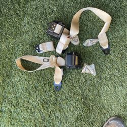 Safety Belt Straps For VehÃculo