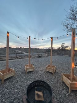 Set of String Light Planters (Set of 4)