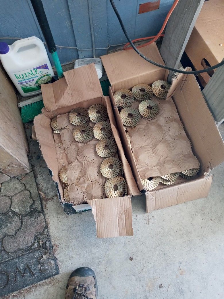 Roofing Nails 1in And. 1.1/4