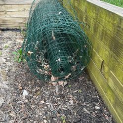 Chicken/Wire Fencing 