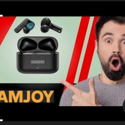 Wireless Translator Earbuds