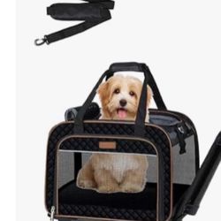 Cat or dog carrier