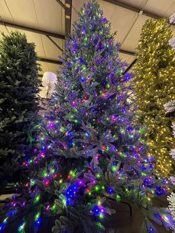 Christmas tree with Twinkle 12ft 