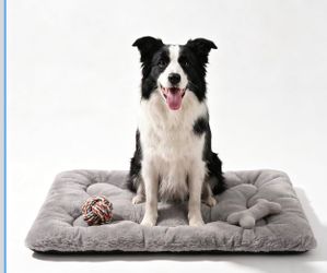 brand new， Dog Bed 36" L x 23 w
