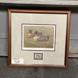 Ducks Unlimited