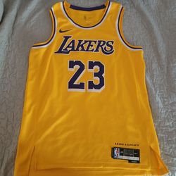 Nike Los Angeles Lakers LeBron James #23 Icon Edition Swingman Jersey in gold/yellow.
