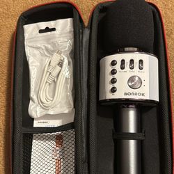 Karaoke Microphone