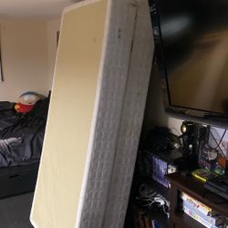 Twin Box Springs 