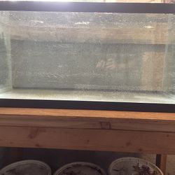 40 GALLON BREEDER AQUARIUM 