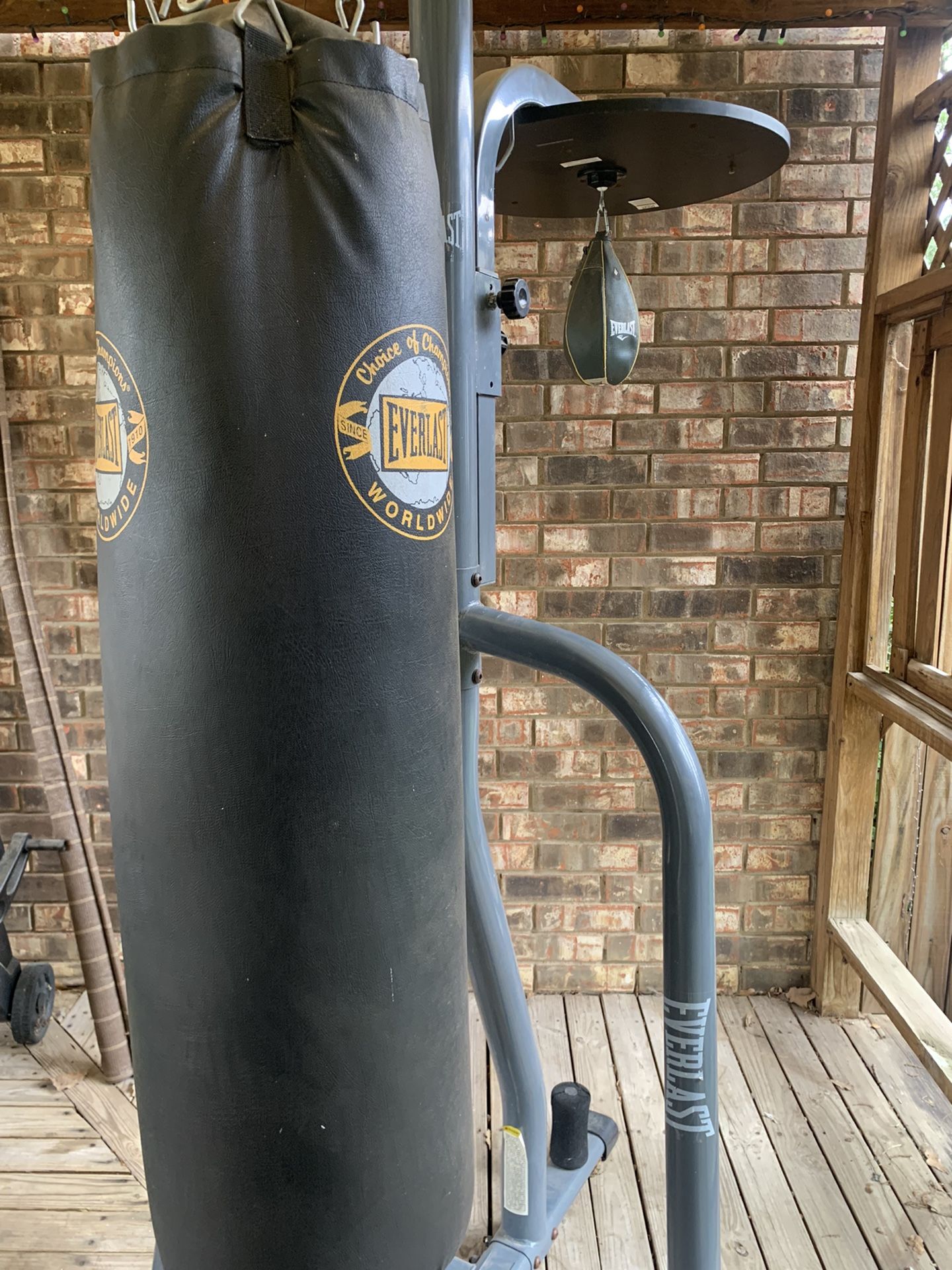 Everlast Punching Bag, Stand, And Speed Bag