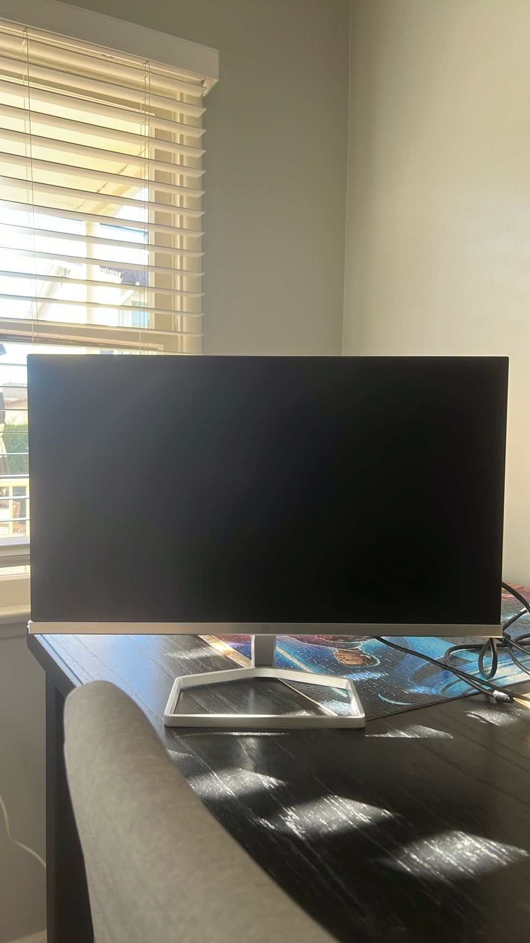 HP Monitor