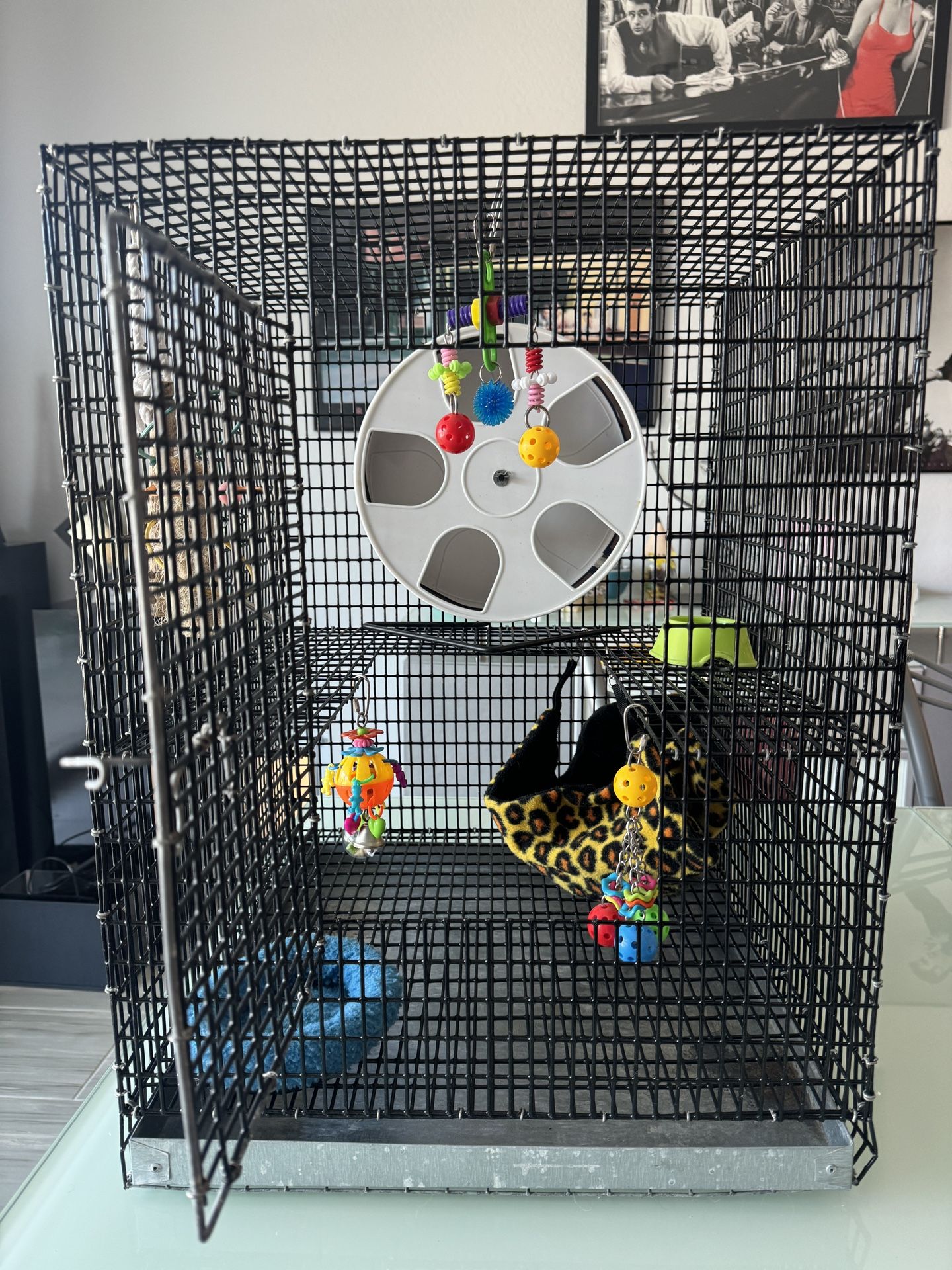 Sugar glider/small animal cage and supplies